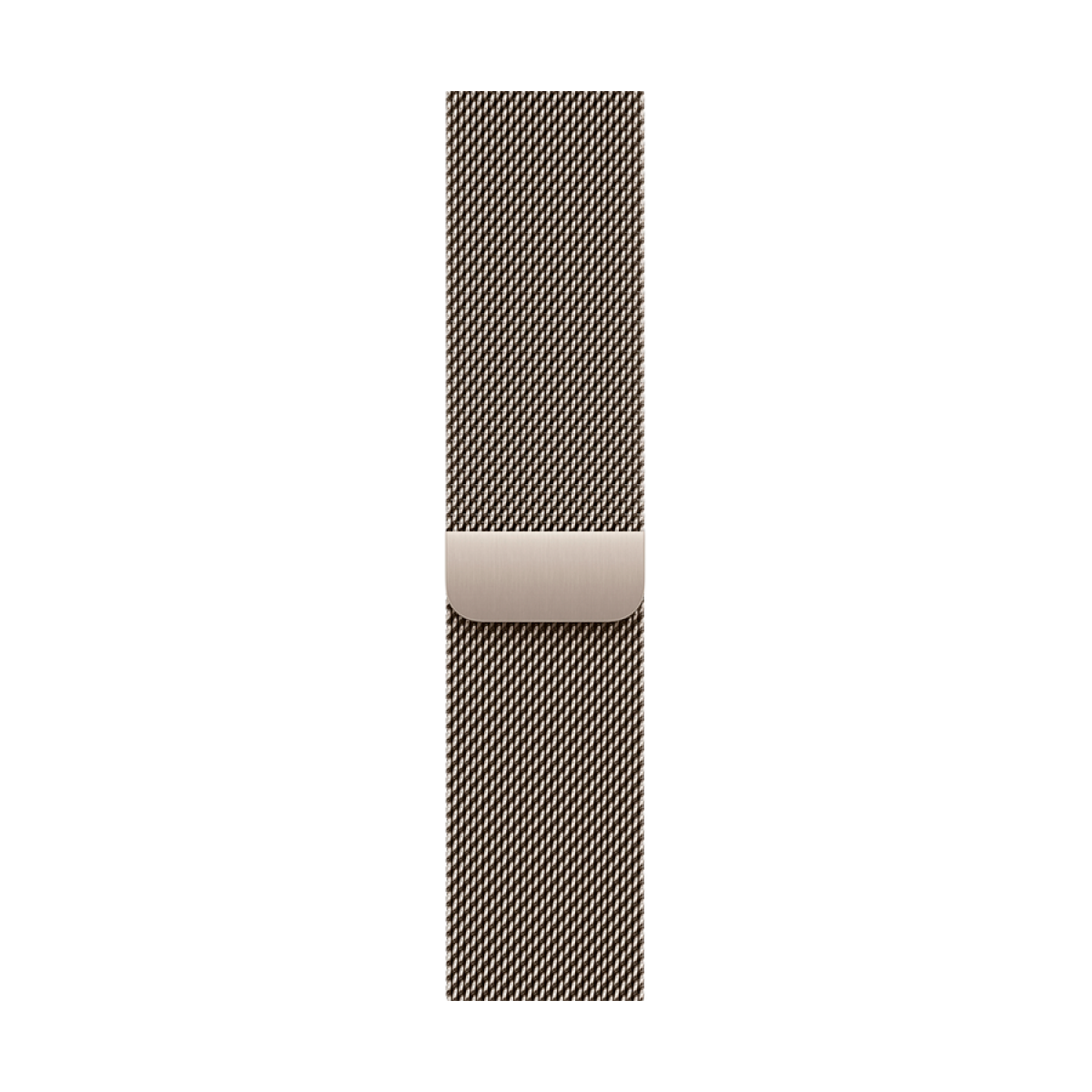 E93E8D0395A3684E85443A61294C720B