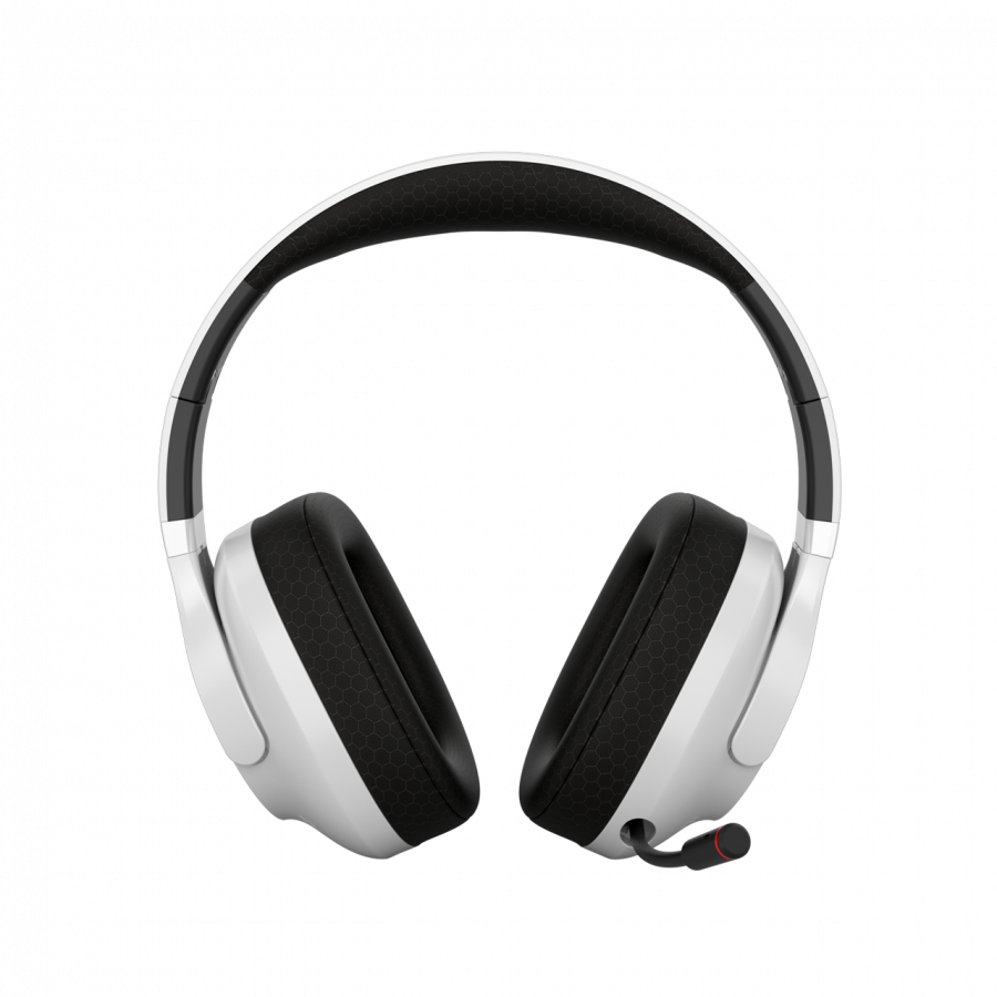 ED0C22C5F0E94FF92535D9A04384051E