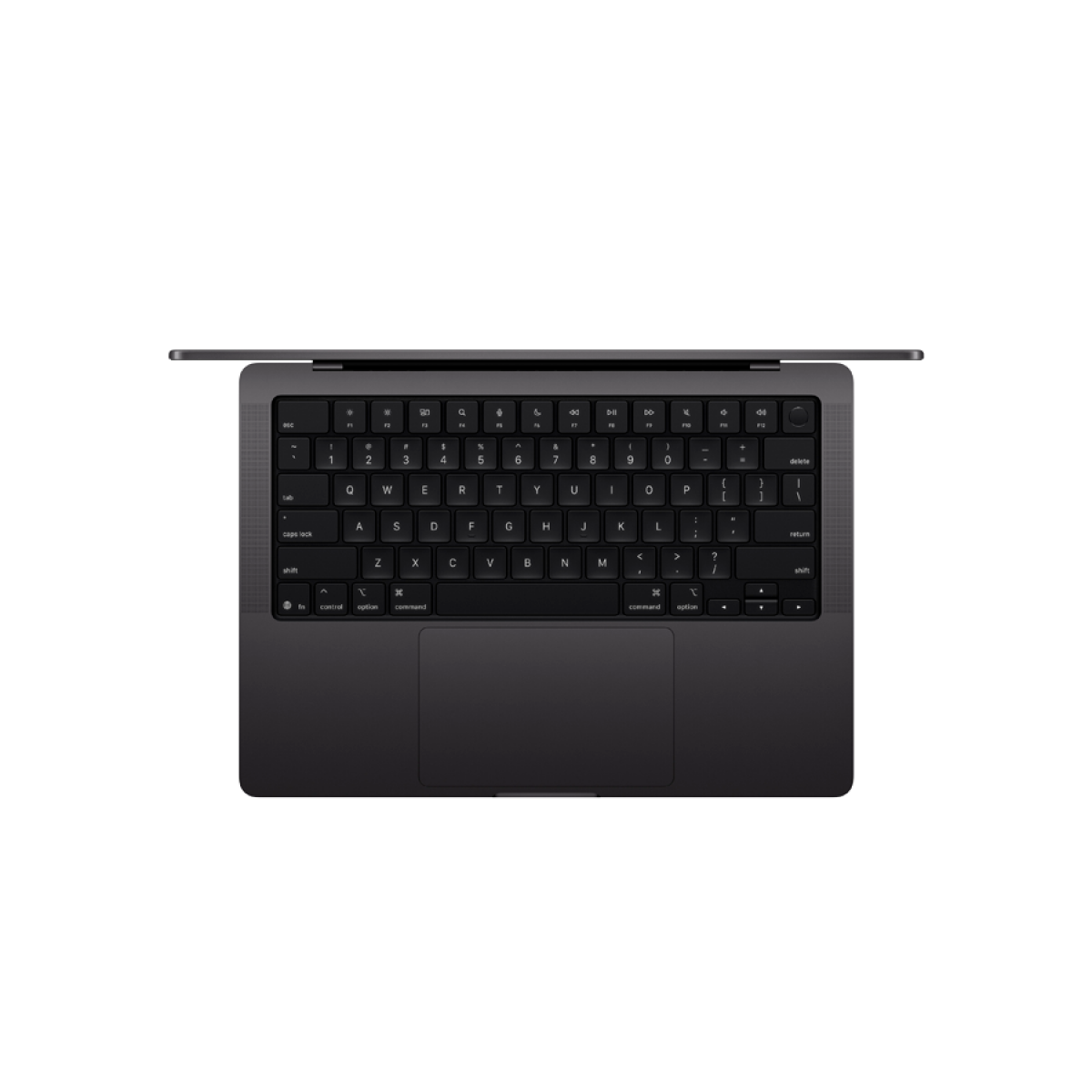 86C24D35B64D561726481C38745F0644